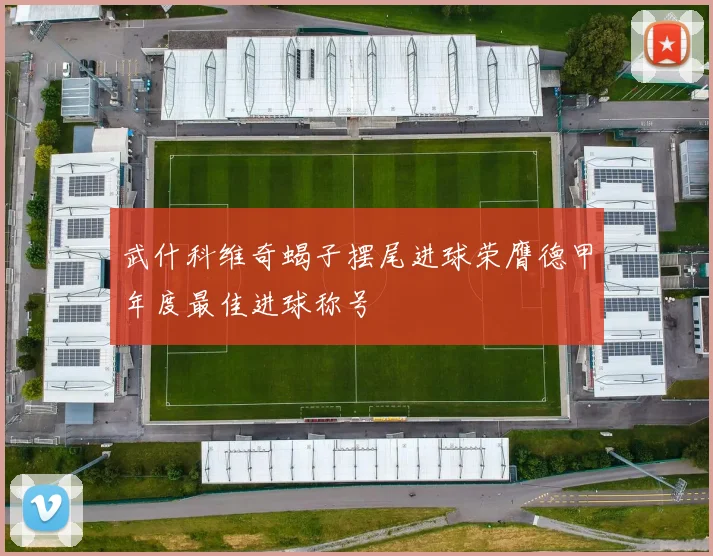 武什科维奇蝎子摆尾进球荣膺德甲年度最佳进球称号