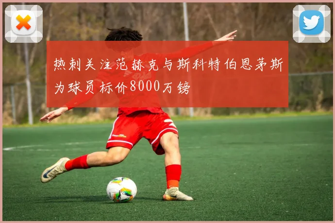 热刺关注范赫克与斯科特伯恩茅斯为球员标价8000万镑